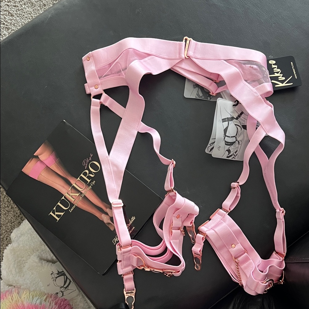Honey Birdette Pink garter and thigh highs